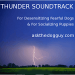 Dog Anxiety Thunder Soundtrack