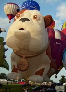Bulldog Balloons