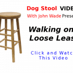 Video for Walking of a Loose Leash Heel with Your Dog