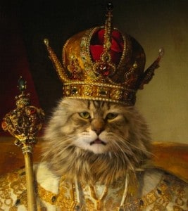 King of the Litter Box