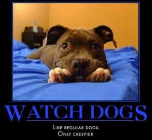 The rule of three watch dog The rule of three watch dog. Click to visit bestdemotivationalposters.com