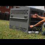 Crate Training the Dog That Hates Crate Training