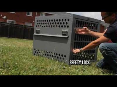 puppy hates crate crate the that hates crate puppy hates crate crate the that hates crate