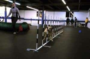 Agility Training