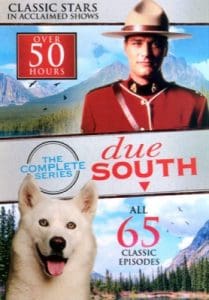 companion dog training due south