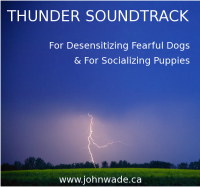 Thunder Sound Track for Dogs Thunder Sound Track for Dogs