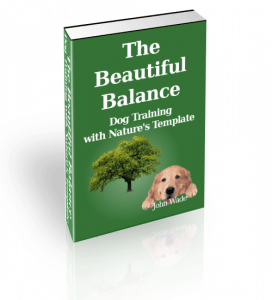 The Beautiful Balance Dog Training With Nature's Template Cover