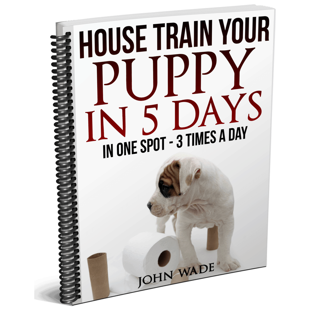 house soiling - House Train Your Puppy in 5 Days - One Spot 3X/day.