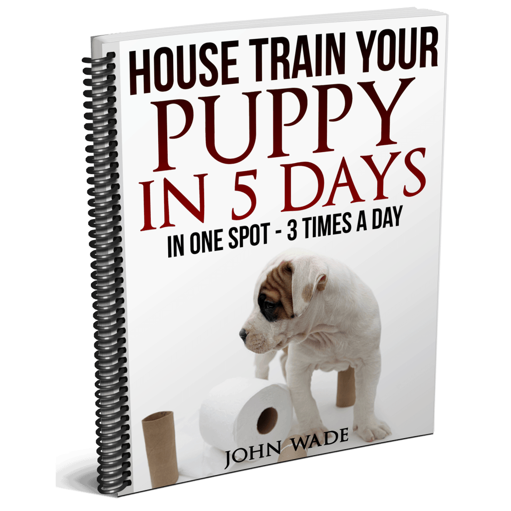 House Training Stop Peeing in the house House Training Cheat Sheet