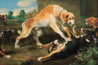 Dogs Fighting