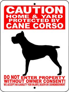 will my cane corso protect me? 2
