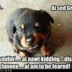 hates_the_vet hates the vet