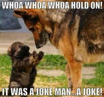 aggressive (by design)