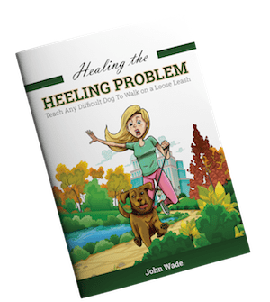 healing the heel