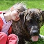 child-2779605_640 dog nervous around child