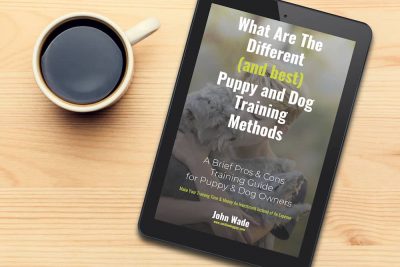 What Are The Different (and best) Dog Training Methods