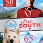 companion dog training due south