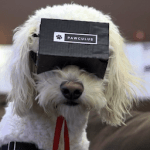 pawculus-810x446