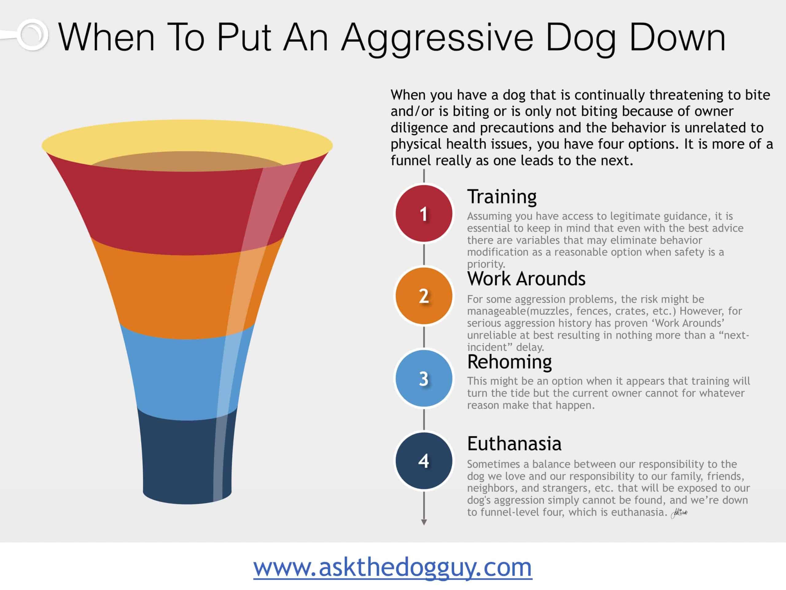 should you put a dog down for biting