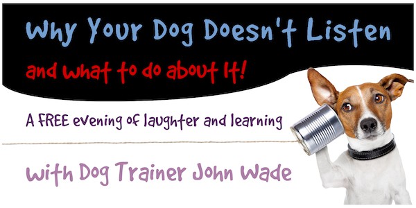 Why_Dogs_Dont_Listen_Generic_BannerNoBorderSmaller Why_Dogs_Dont_Listen_Generic_BannerNoBorderSmaller