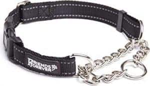 Martingale 2