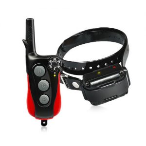 Dogtra eCollar Receiver and Transmitter