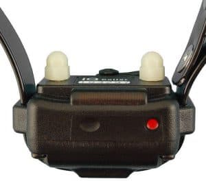 Dogtra eCollar Receiver