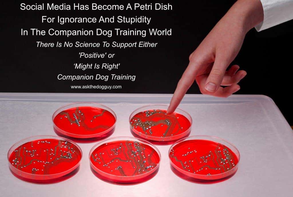 The internet and social media especially have become a petri dish for the world's ignorant and stupid.