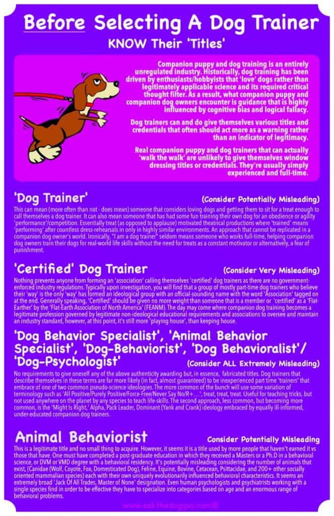 Dog Training Titles Poster