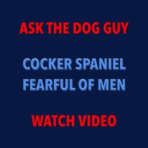 ASK THE DOG GUY EPISODE TITLE