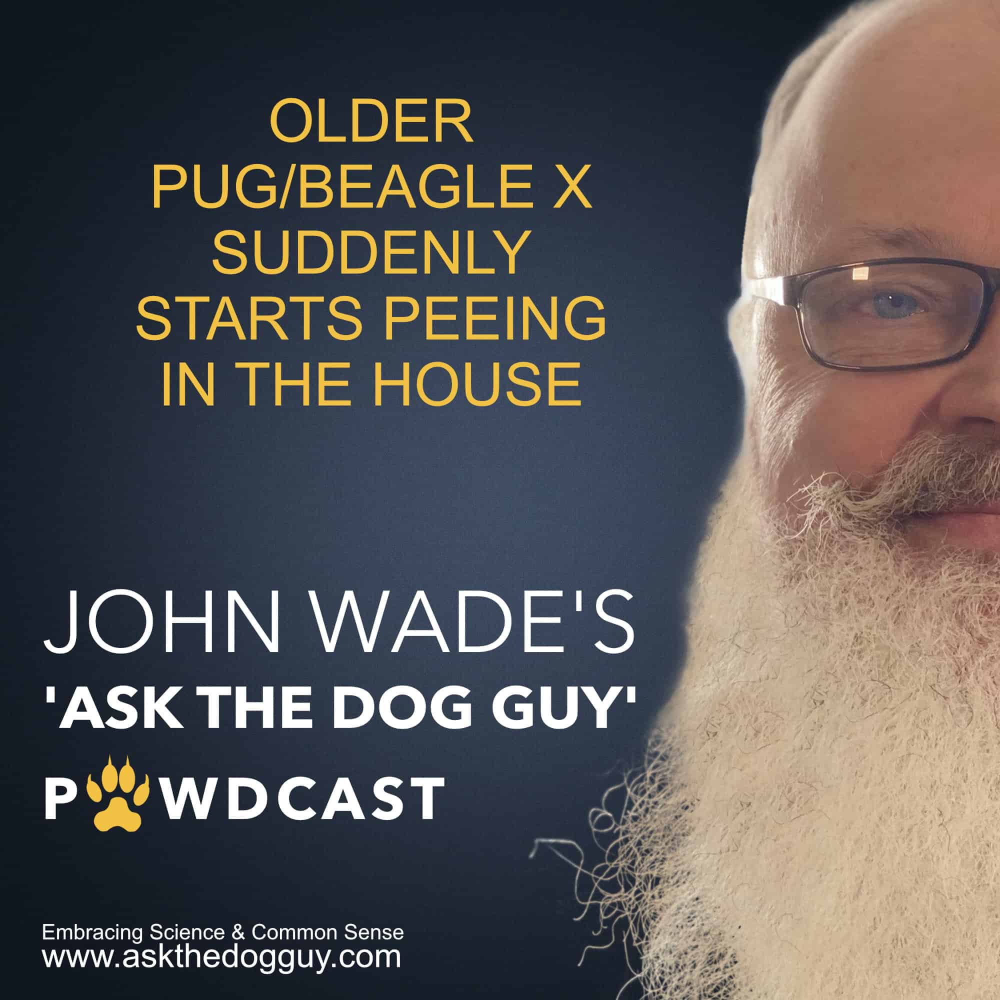The \'ASK THE DOG GUY\' PAWDCAST