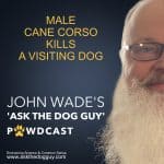 The 'ASK THE DOG GUY' PAWDCAST The 'ASK THE DOG GUY' PAWDCAST