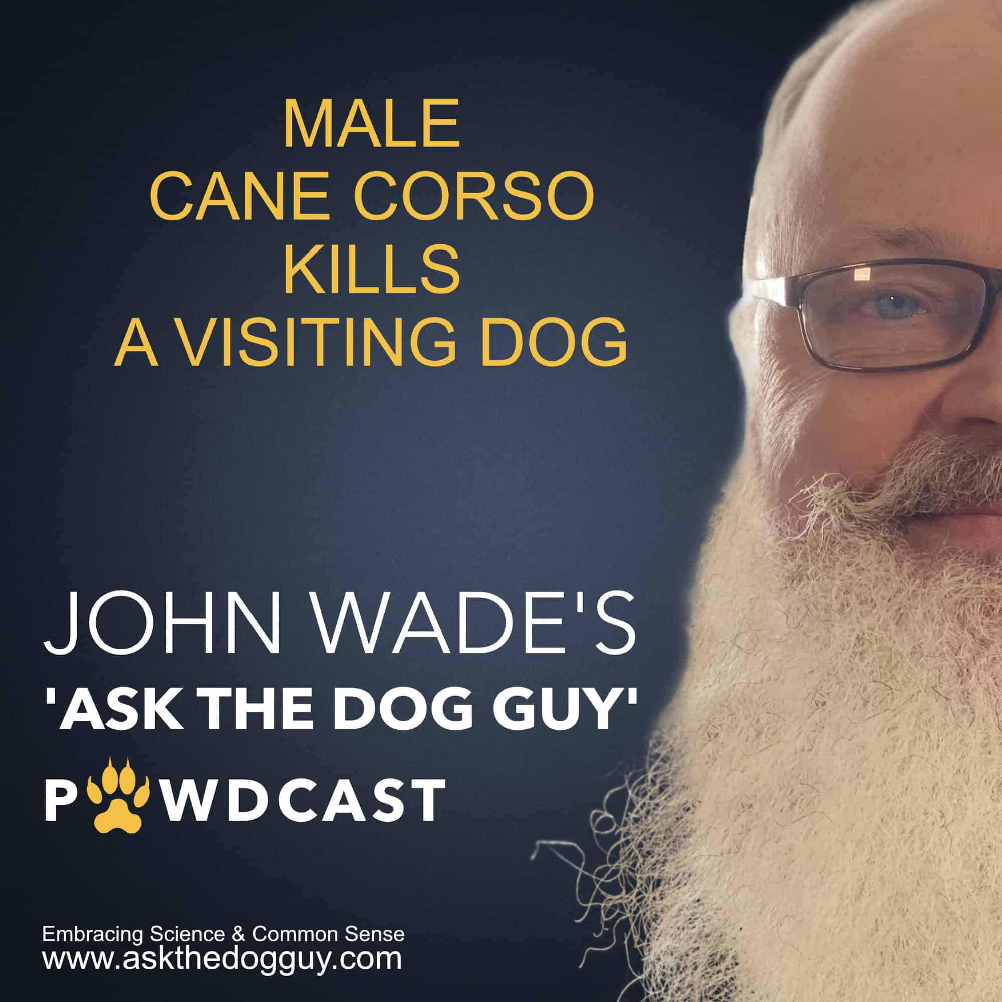 The \'ASK THE DOG GUY\' PAWDCAST