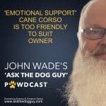 The 'ASK THE DOG GUY' PAWDCAST The 'ASK THE DOG GUY' PAWDCAST