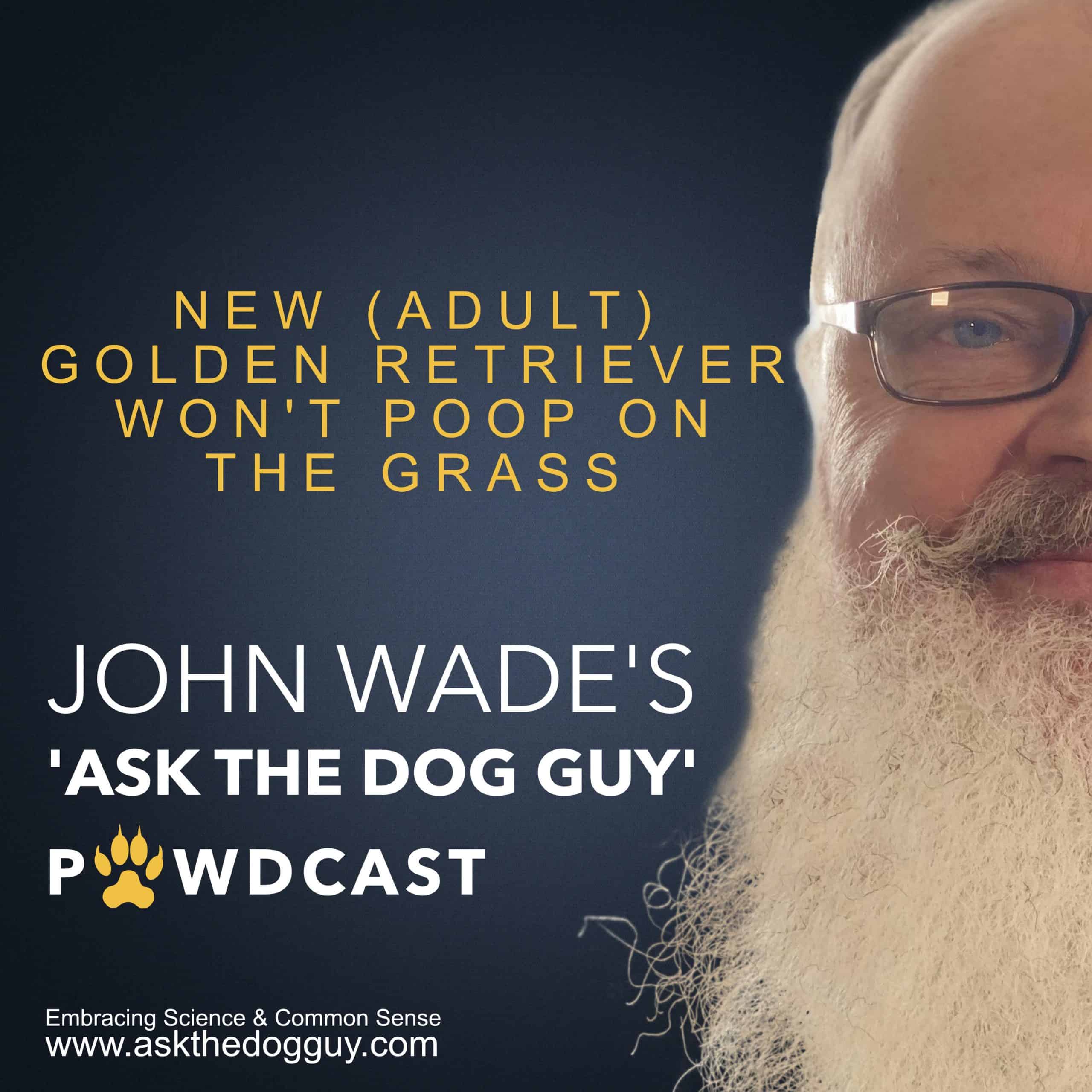 The \'ASK THE DOG GUY\' PAWDCAST