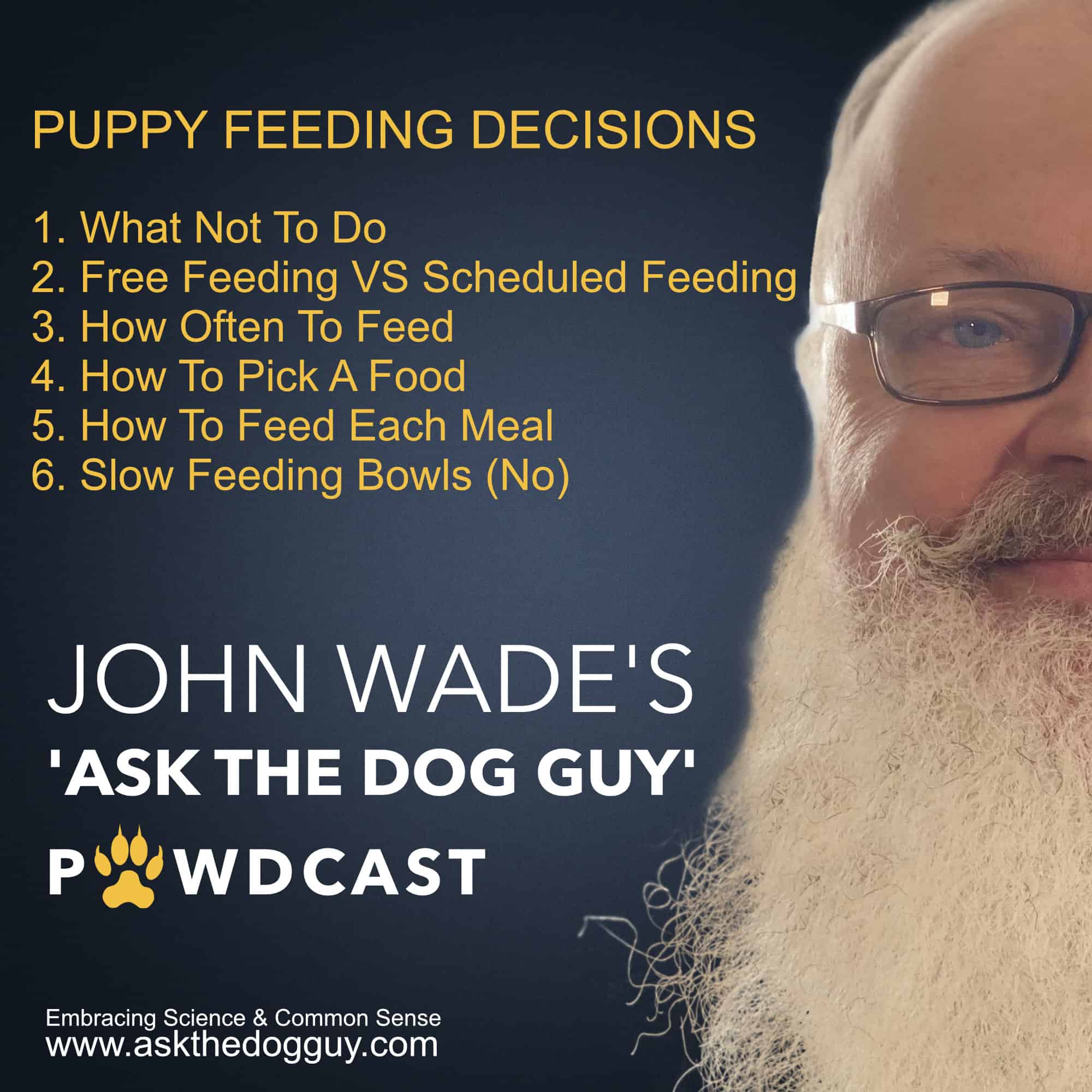 The \'ASK THE DOG GUY\' PAWDCAST