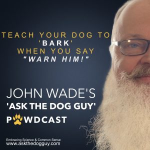 How To Teach Your Dog To Bark On Command When You Say,